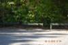 tunnelgully2015dec_05_wm_small.jpg