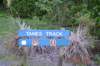 tunnelgully2015dec_08_wm_small.jpg