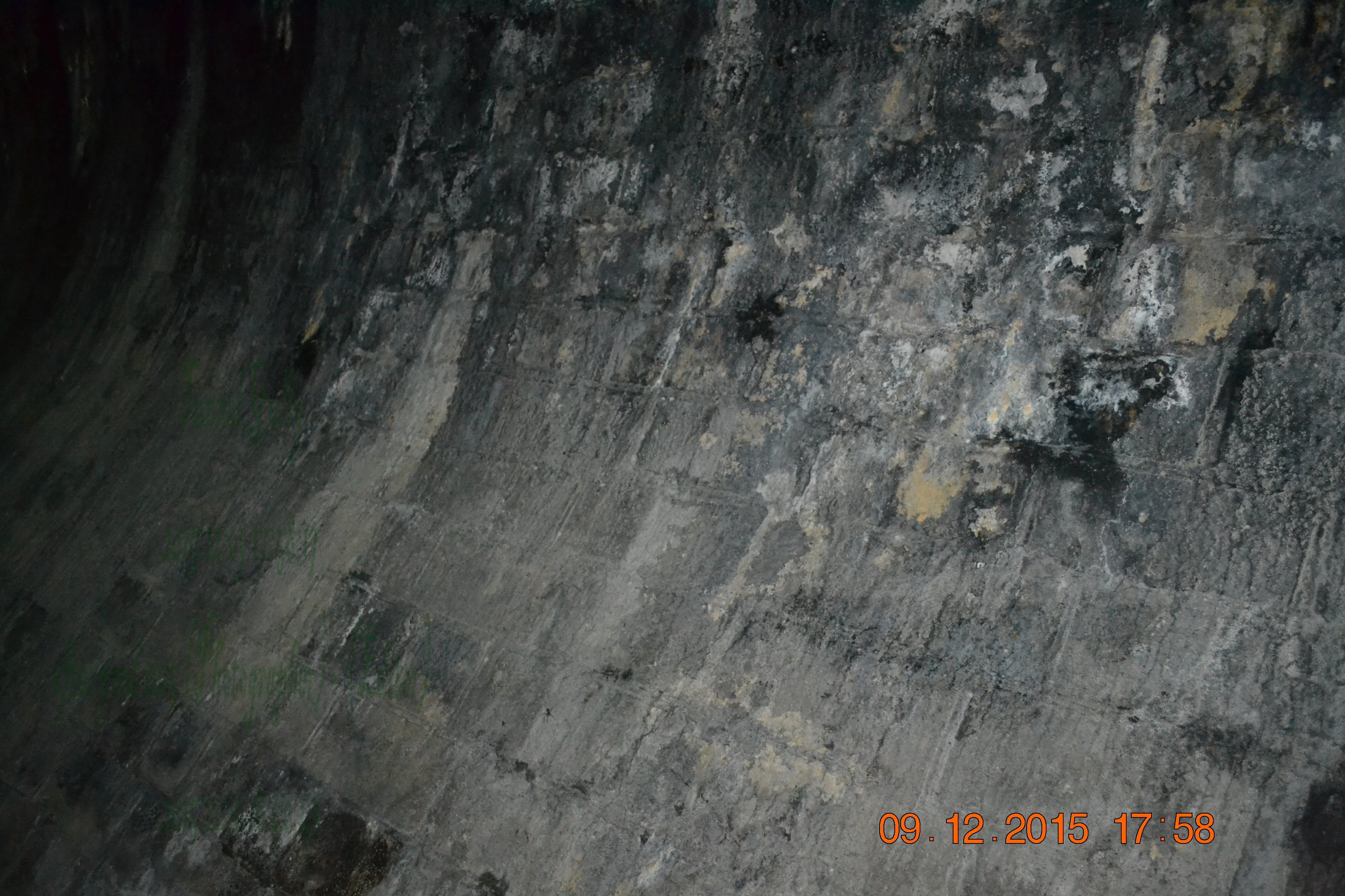 tunnelgully2015dec_102_wm.jpg