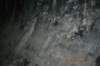 tunnelgully2015dec_102_wm_small.jpg