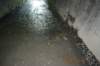 tunnelgully2015dec_103_wm_small.jpg