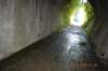tunnelgully2015dec_104_wm_small.jpg