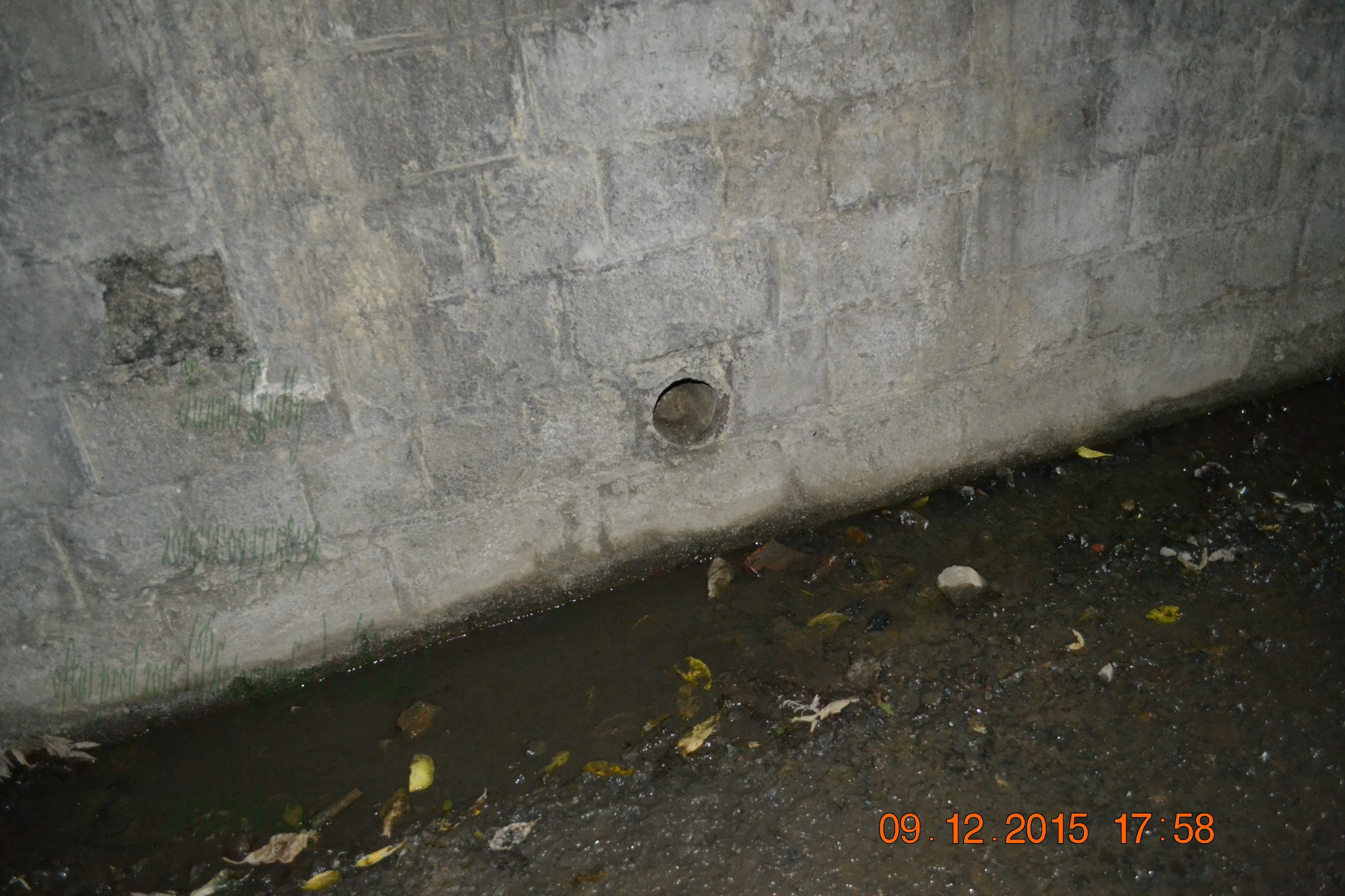 tunnelgully2015dec_105_wm.jpg