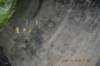 tunnelgully2015dec_106_wm_small.jpg