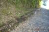 tunnelgully2015dec_107_wm_small.jpg