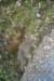 tunnelgully2015dec_109_wm_small.jpg