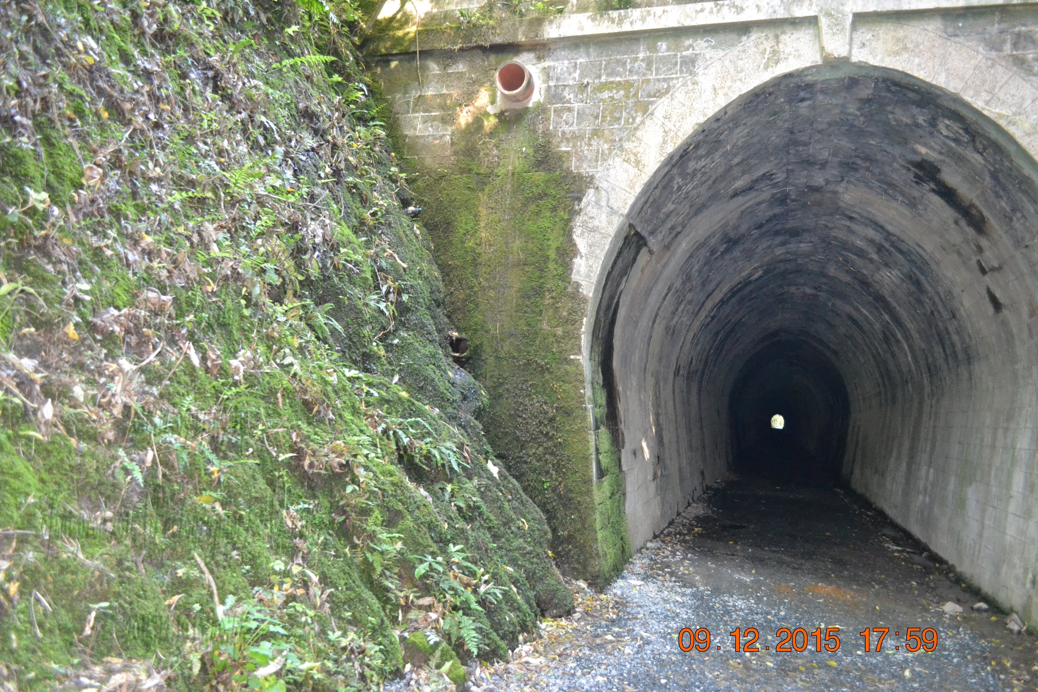 tunnelgully2015dec_110_wm.jpg