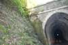 tunnelgully2015dec_113_wm_small.jpg