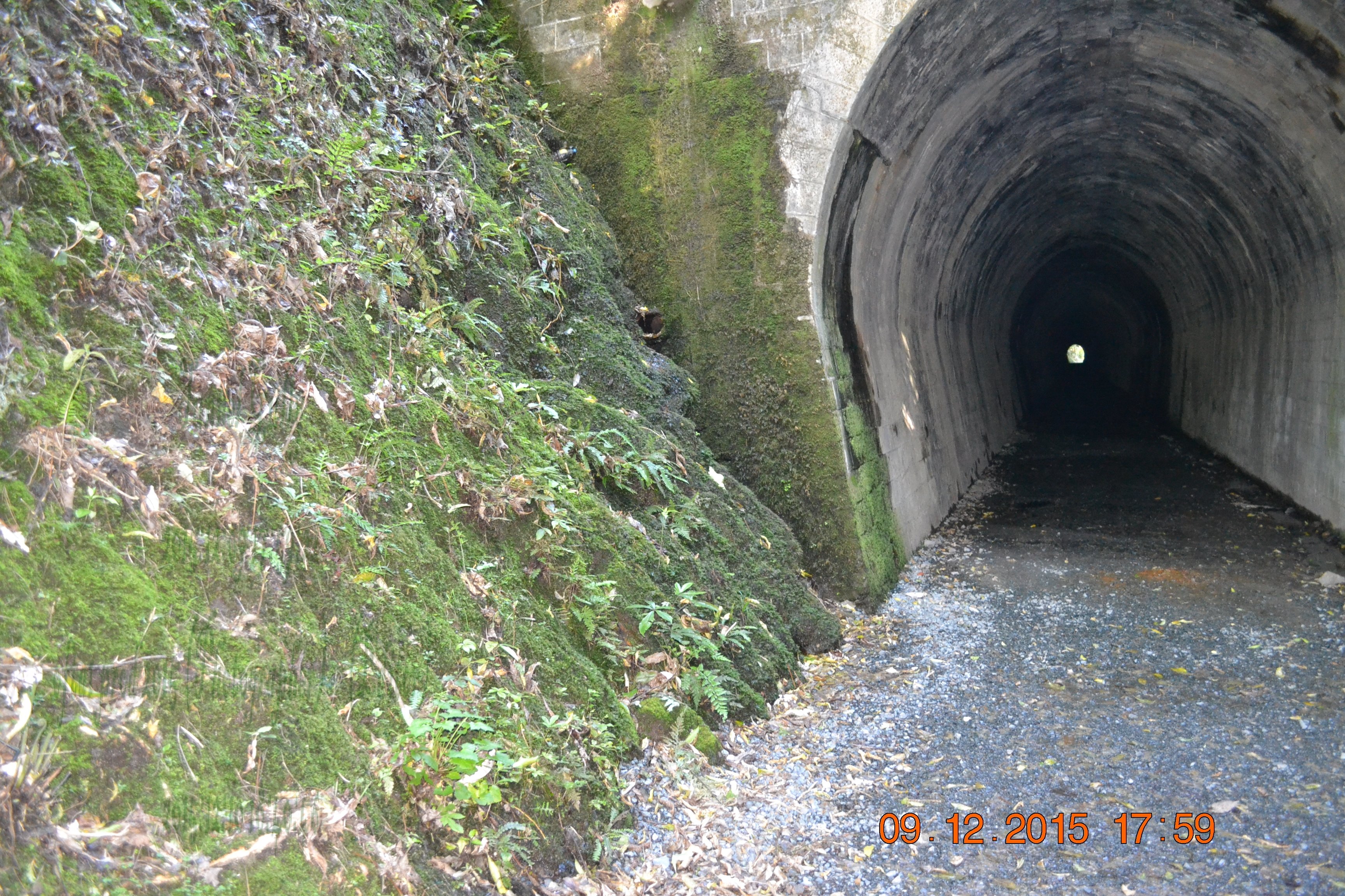 tunnelgully2015dec_114_wm.jpg