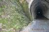 tunnelgully2015dec_114_wm_small.jpg