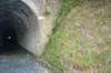 tunnelgully2015dec_115_wm_small.jpg