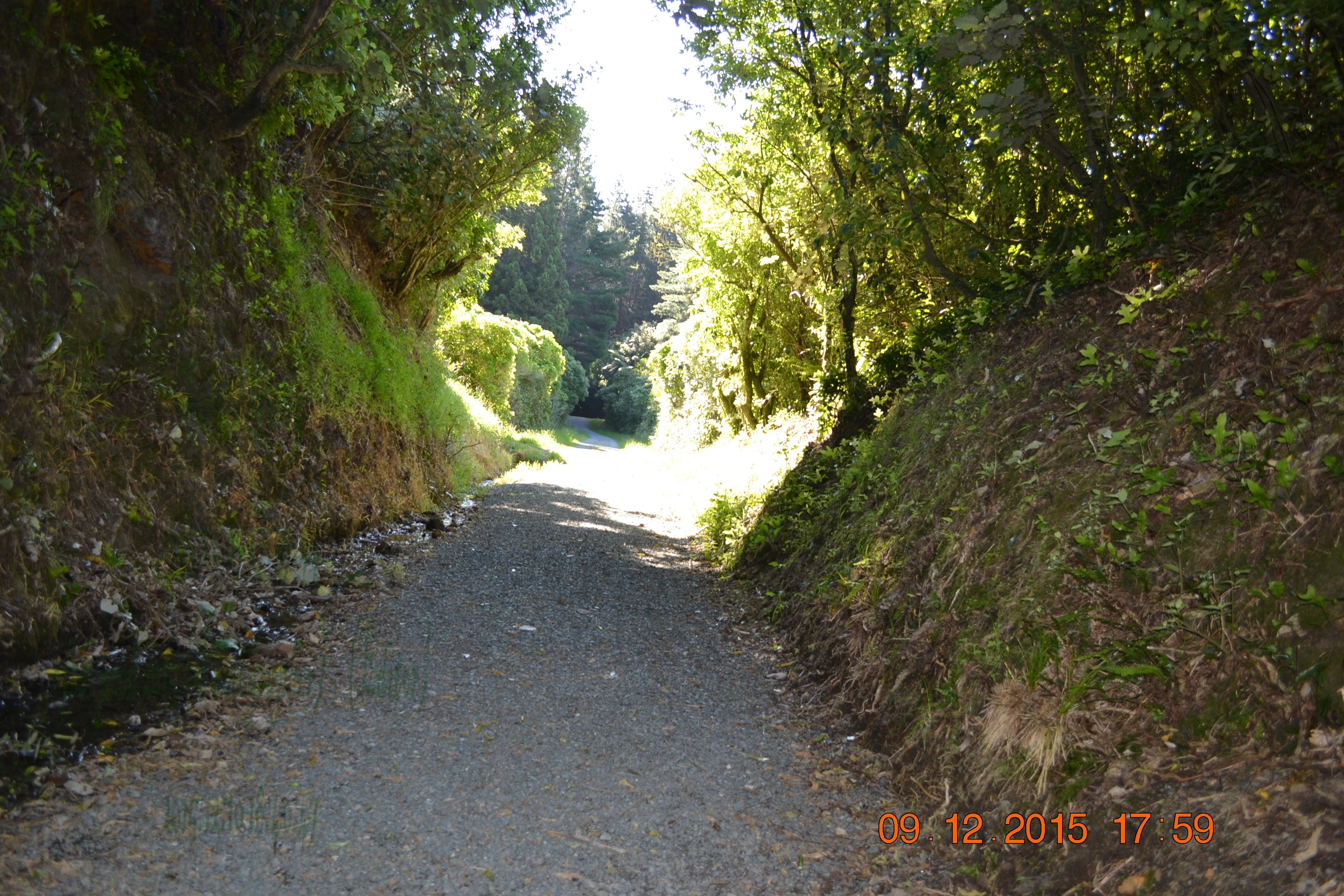 tunnelgully2015dec_116_wm.jpg