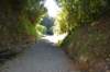 tunnelgully2015dec_116_wm_small.jpg