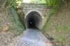 tunnelgully2015dec_117_wm_small.jpg