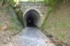 tunnelgully2015dec_118_wm_small.jpg