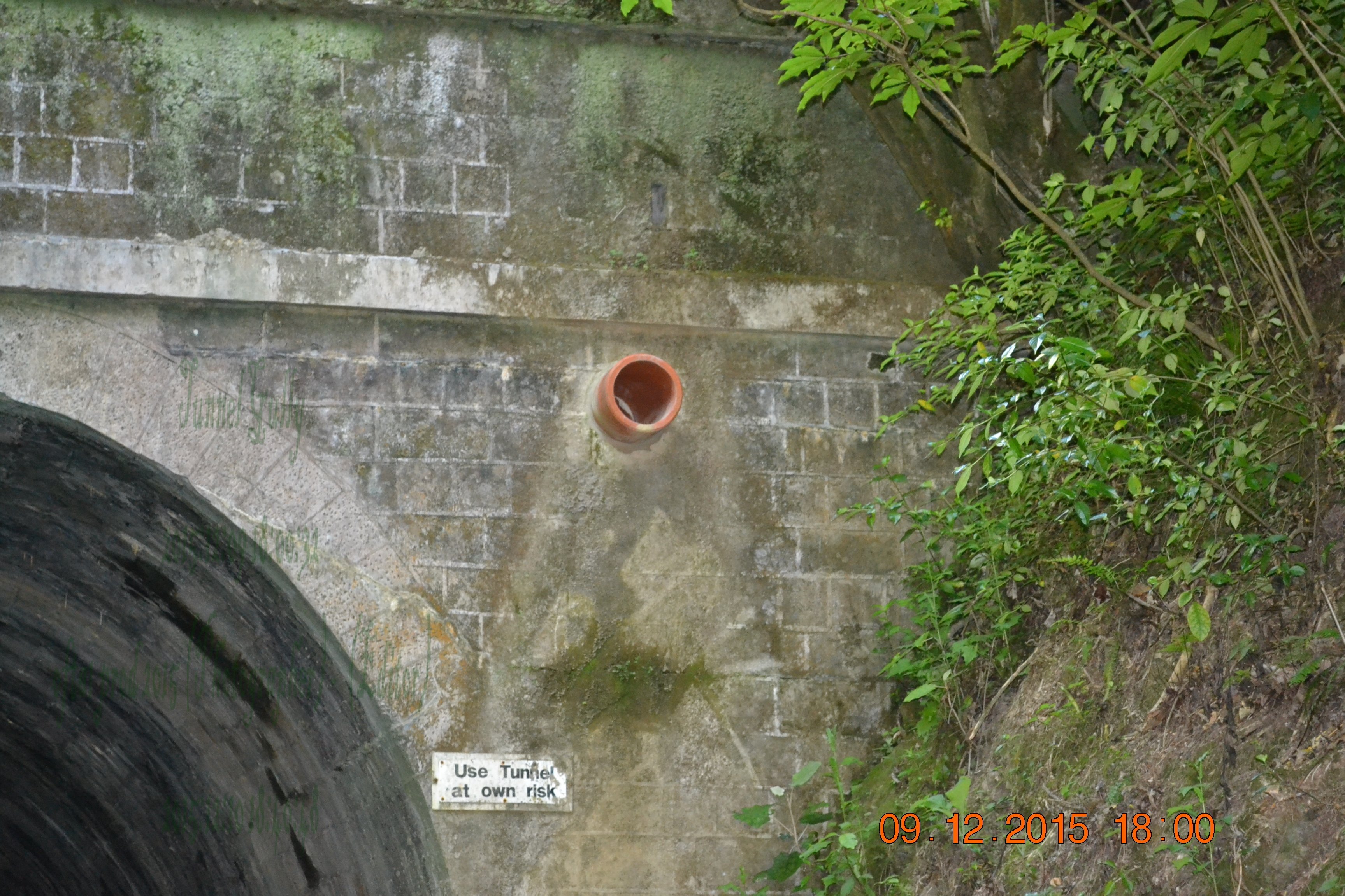 tunnelgully2015dec_122_wm.jpg