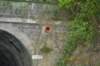 tunnelgully2015dec_122_wm_small.jpg