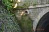 tunnelgully2015dec_123_wm_small.jpg