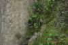 tunnelgully2015dec_124_wm_small.jpg