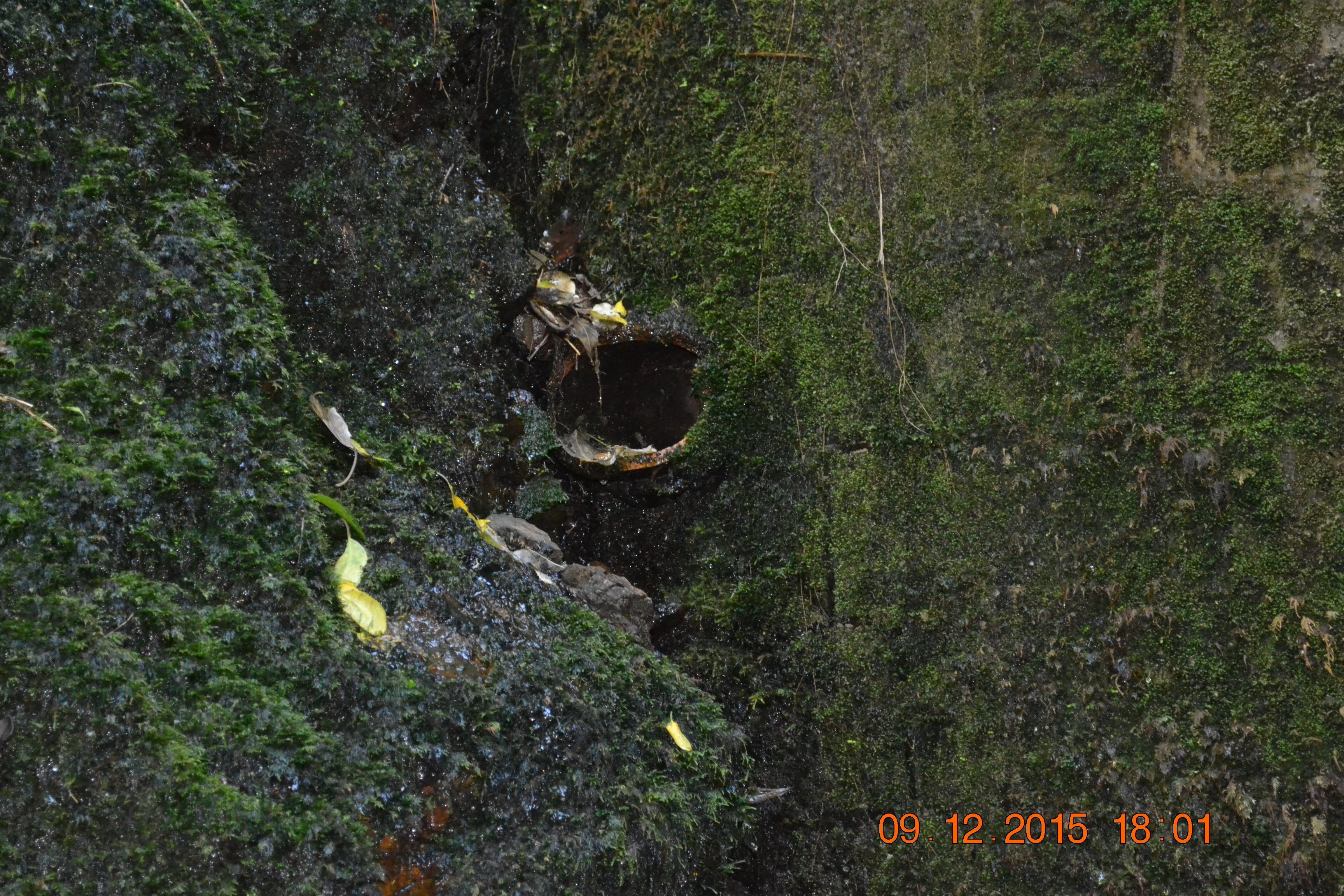 tunnelgully2015dec_125_wm.jpg