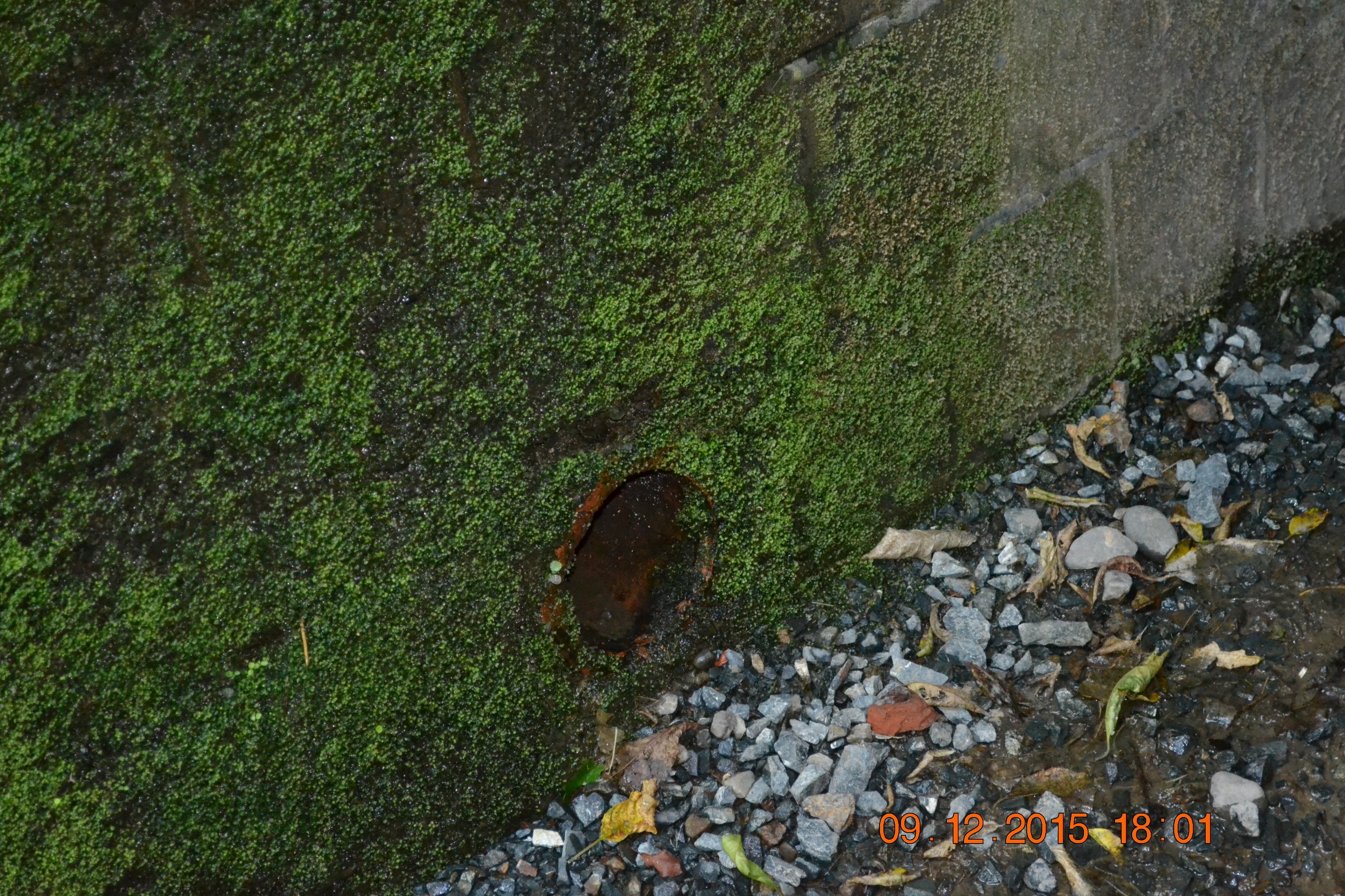 tunnelgully2015dec_126_wm.jpg
