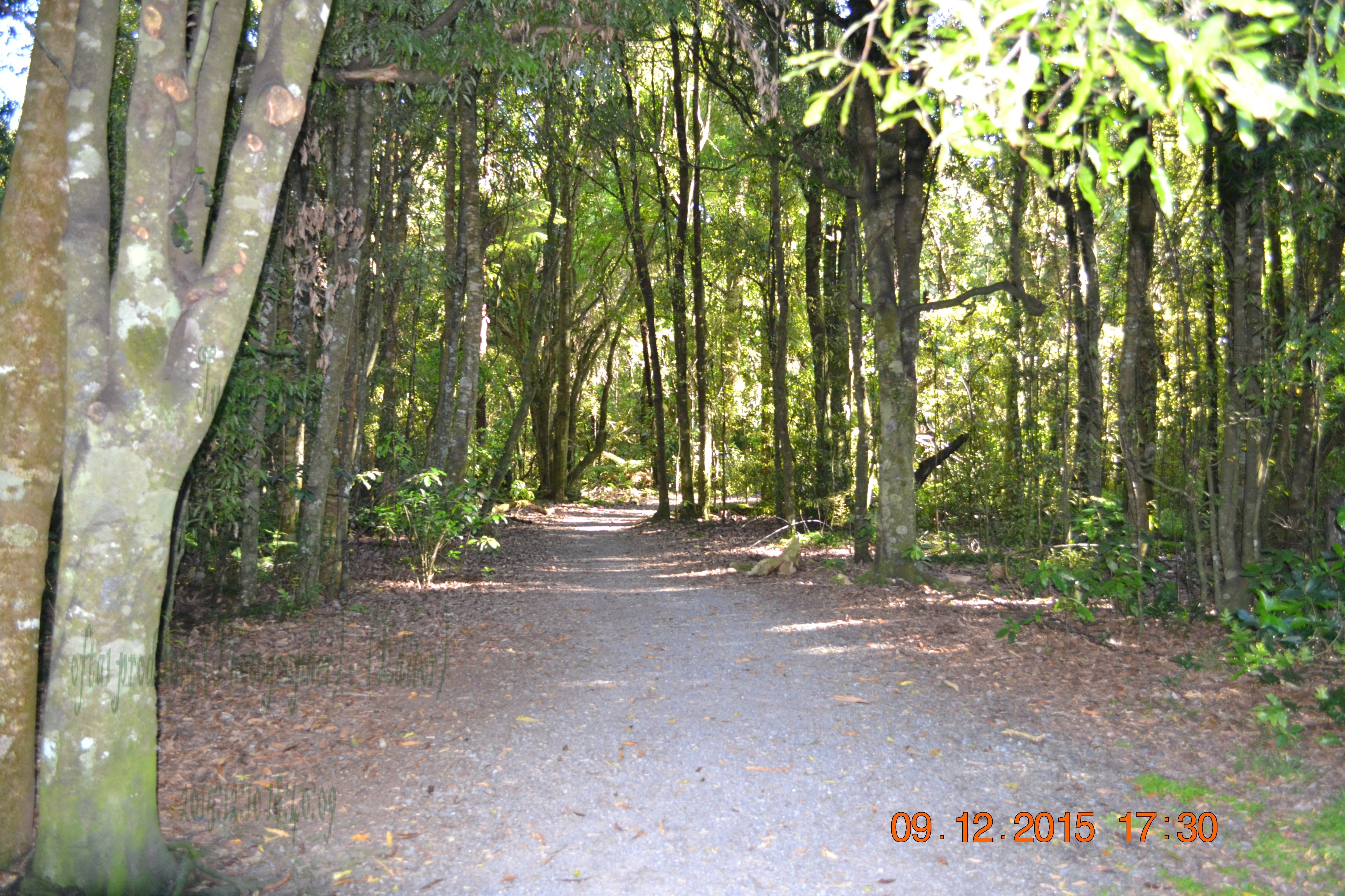 tunnelgully2015dec_12_wm.jpg
