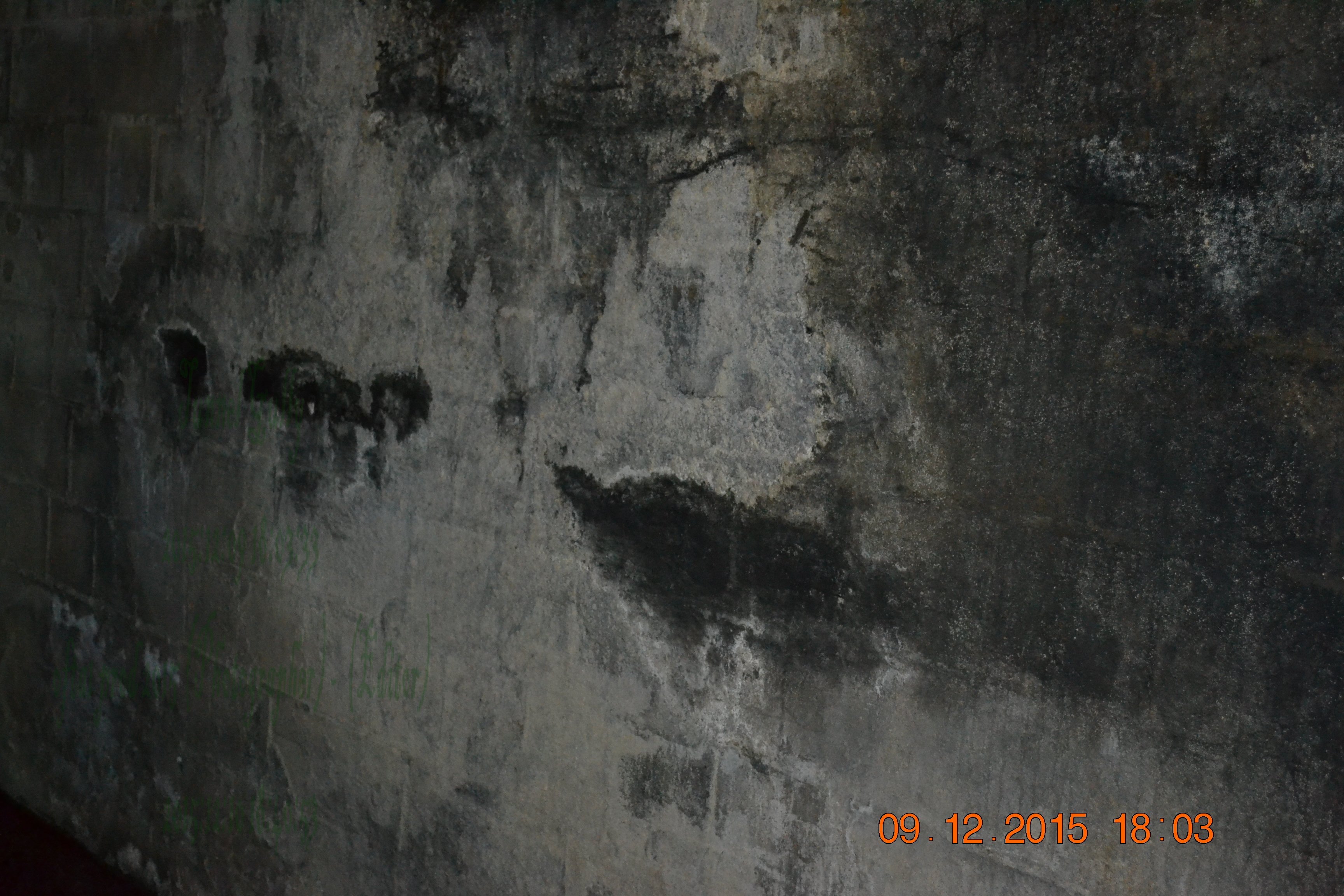 tunnelgully2015dec_131_wm.jpg