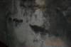 tunnelgully2015dec_131_wm_small.jpg