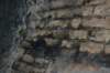 tunnelgully2015dec_132_wm_small.jpg
