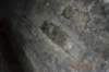 tunnelgully2015dec_136_wm_small.jpg