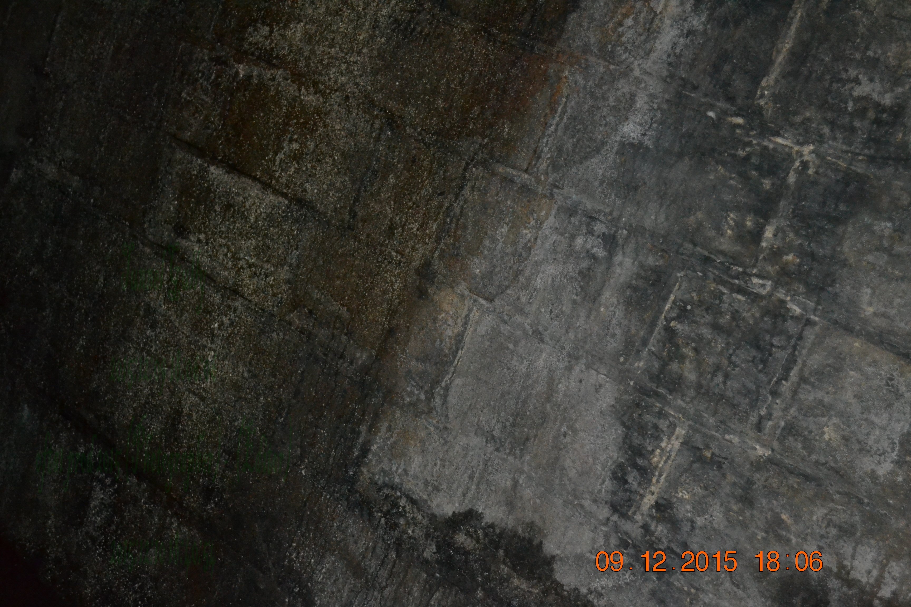 tunnelgully2015dec_138_wm.jpg