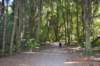 tunnelgully2015dec_13_wm_small.jpg