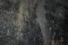 tunnelgully2015dec_144_wm_small.jpg