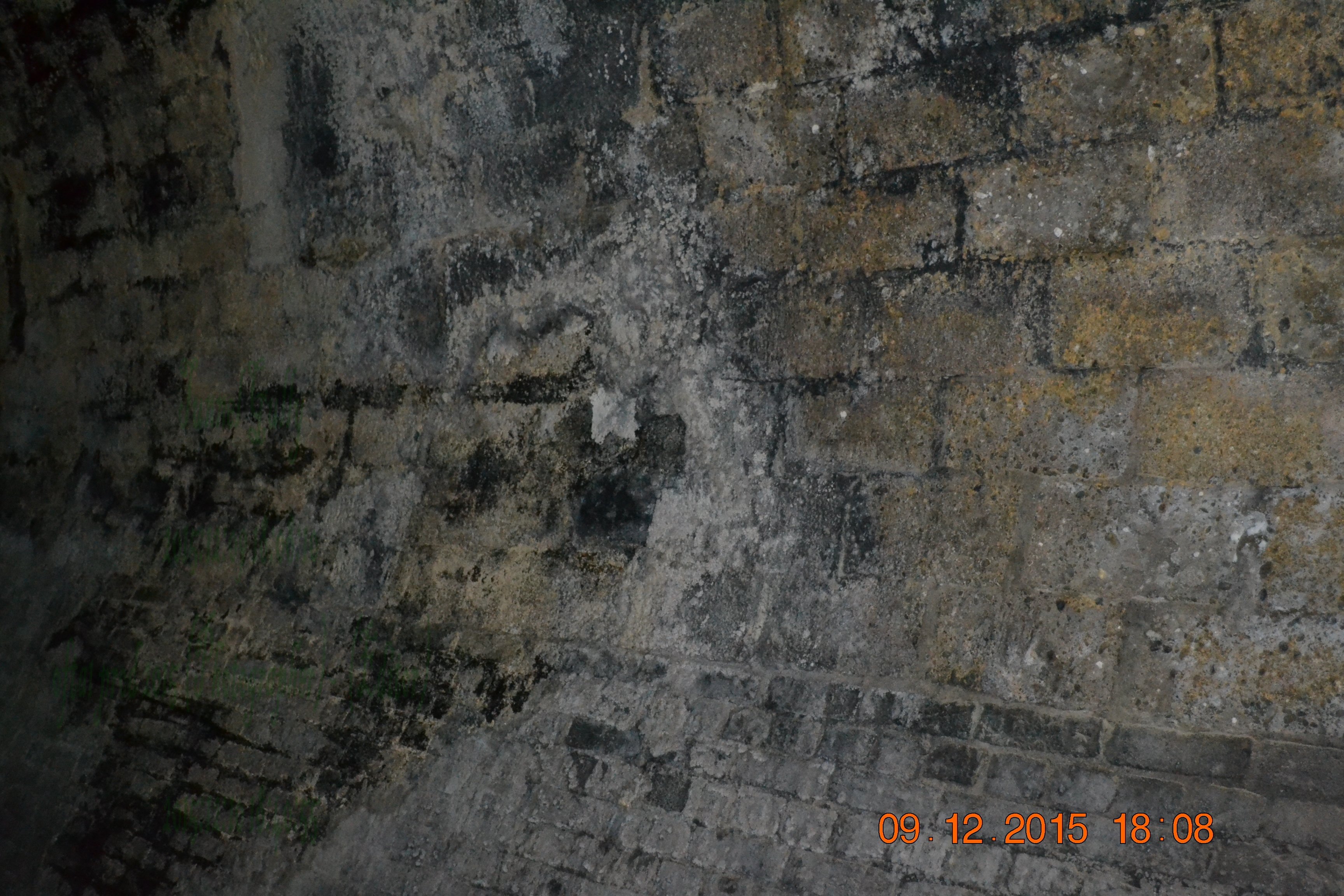 tunnelgully2015dec_145_wm.jpg