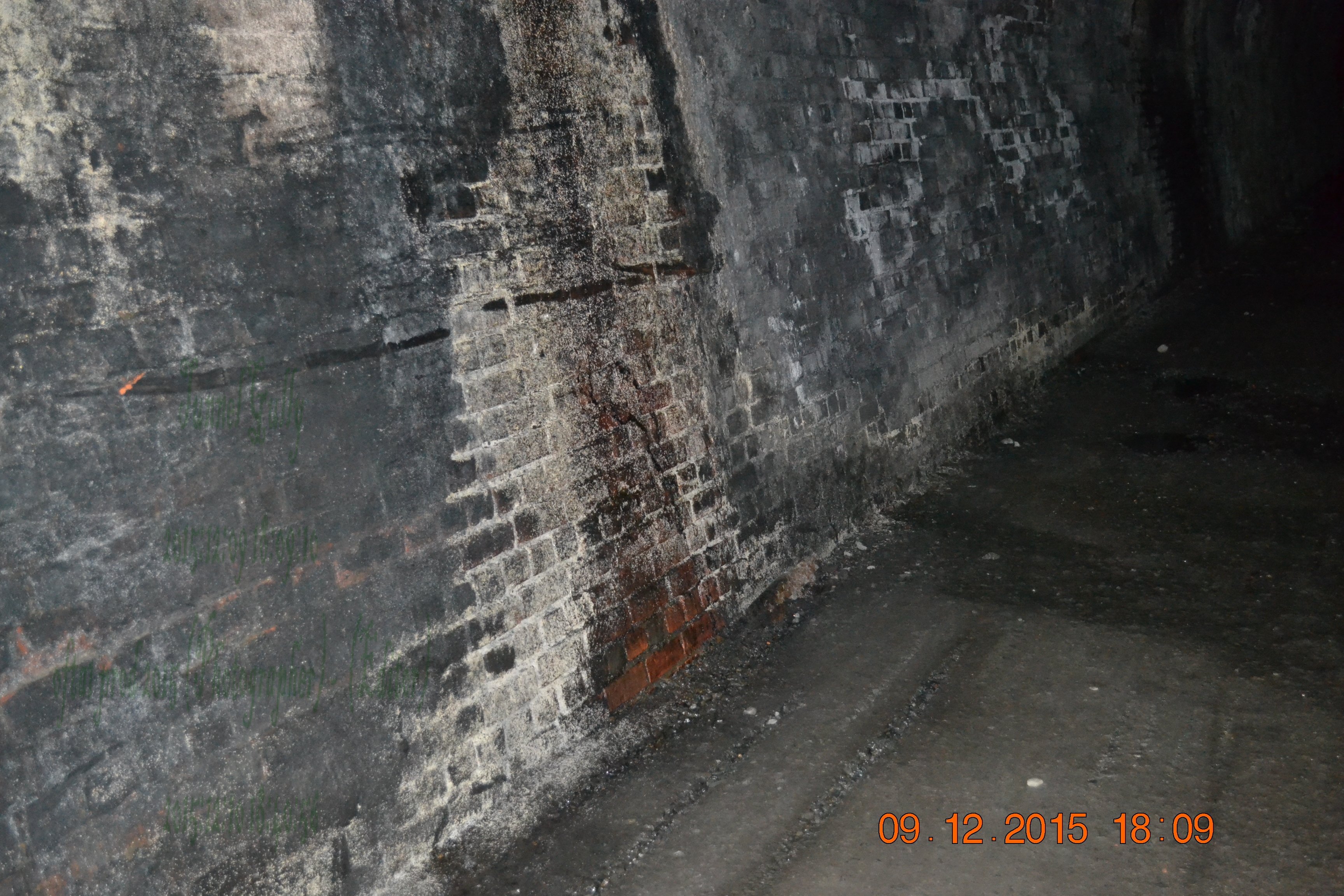 tunnelgully2015dec_149_wm.jpg