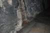 tunnelgully2015dec_149_wm_small.jpg