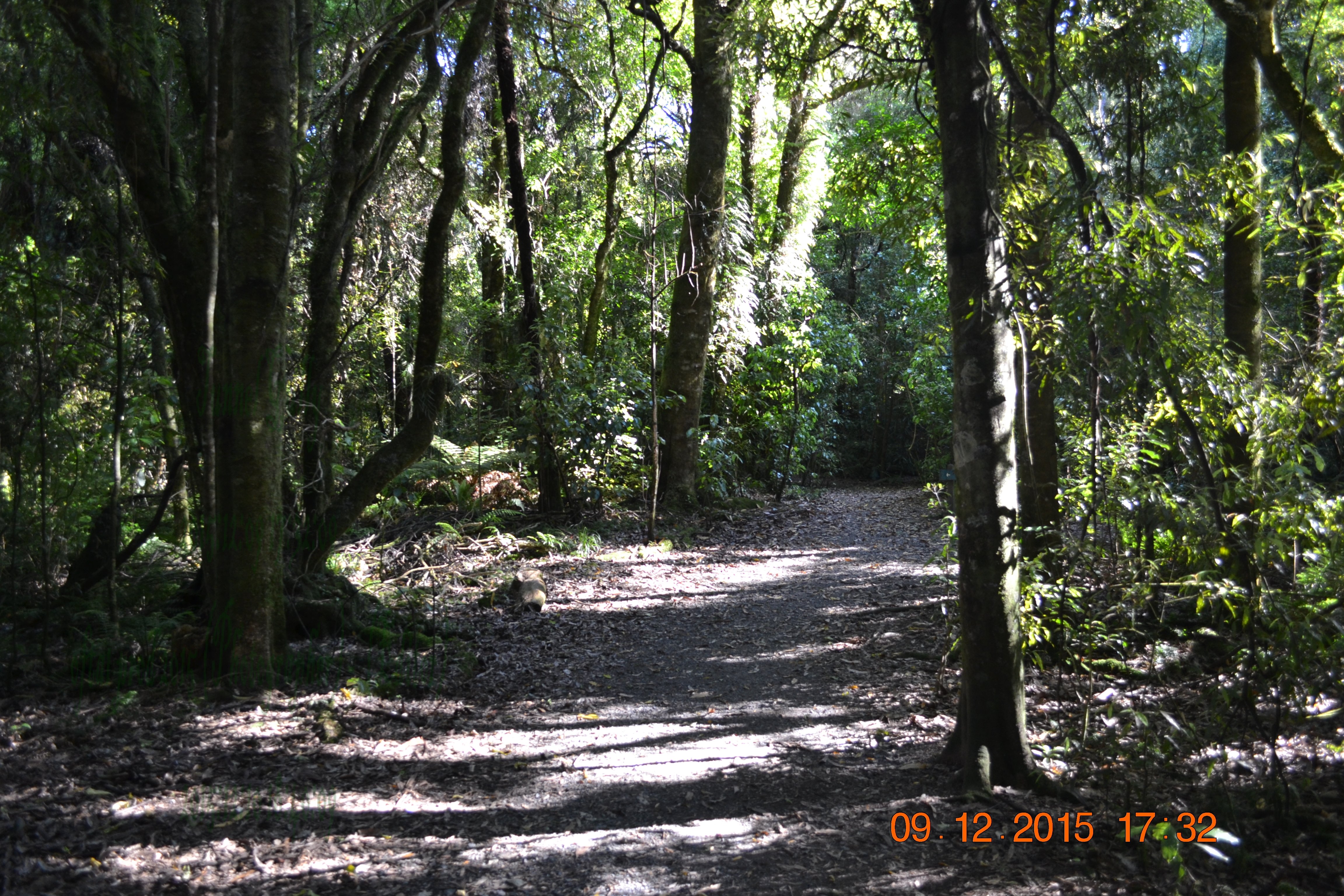 tunnelgully2015dec_14_wm.jpg
