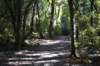tunnelgully2015dec_14_wm_small.jpg
