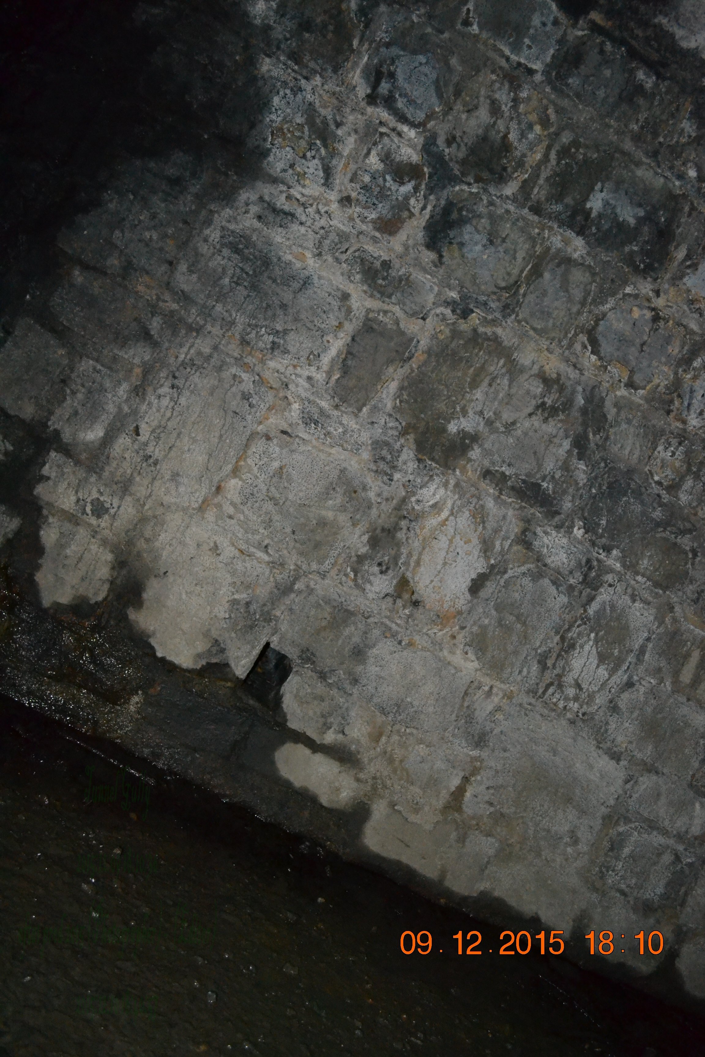 tunnelgully2015dec_151_wm.jpg