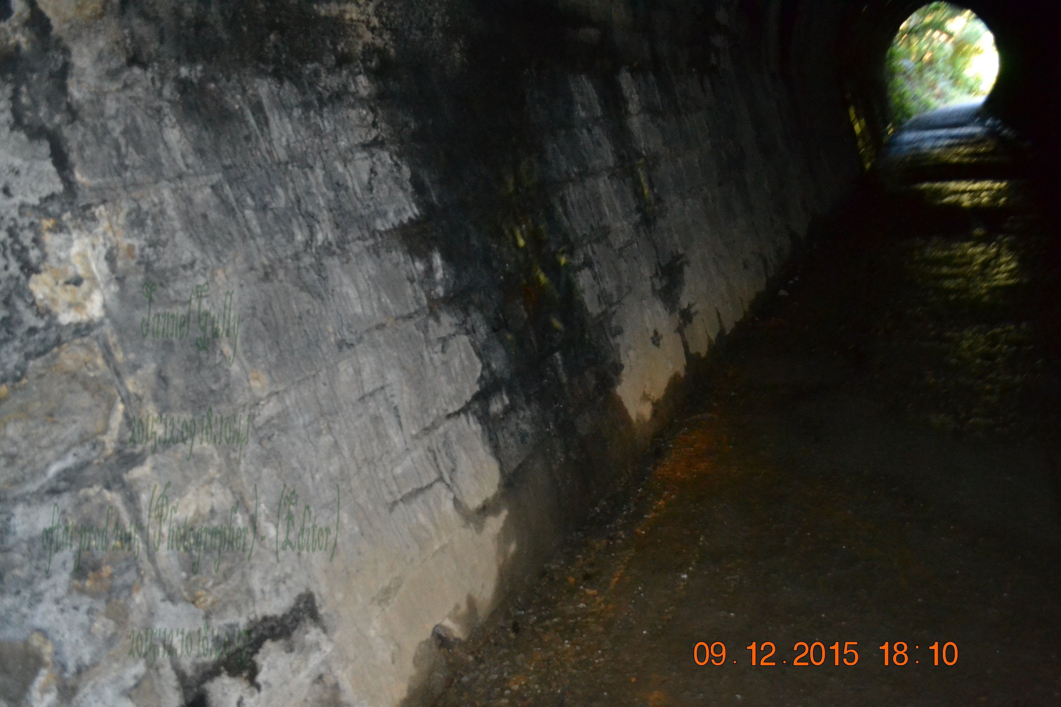 tunnelgully2015dec_152_wm.jpg