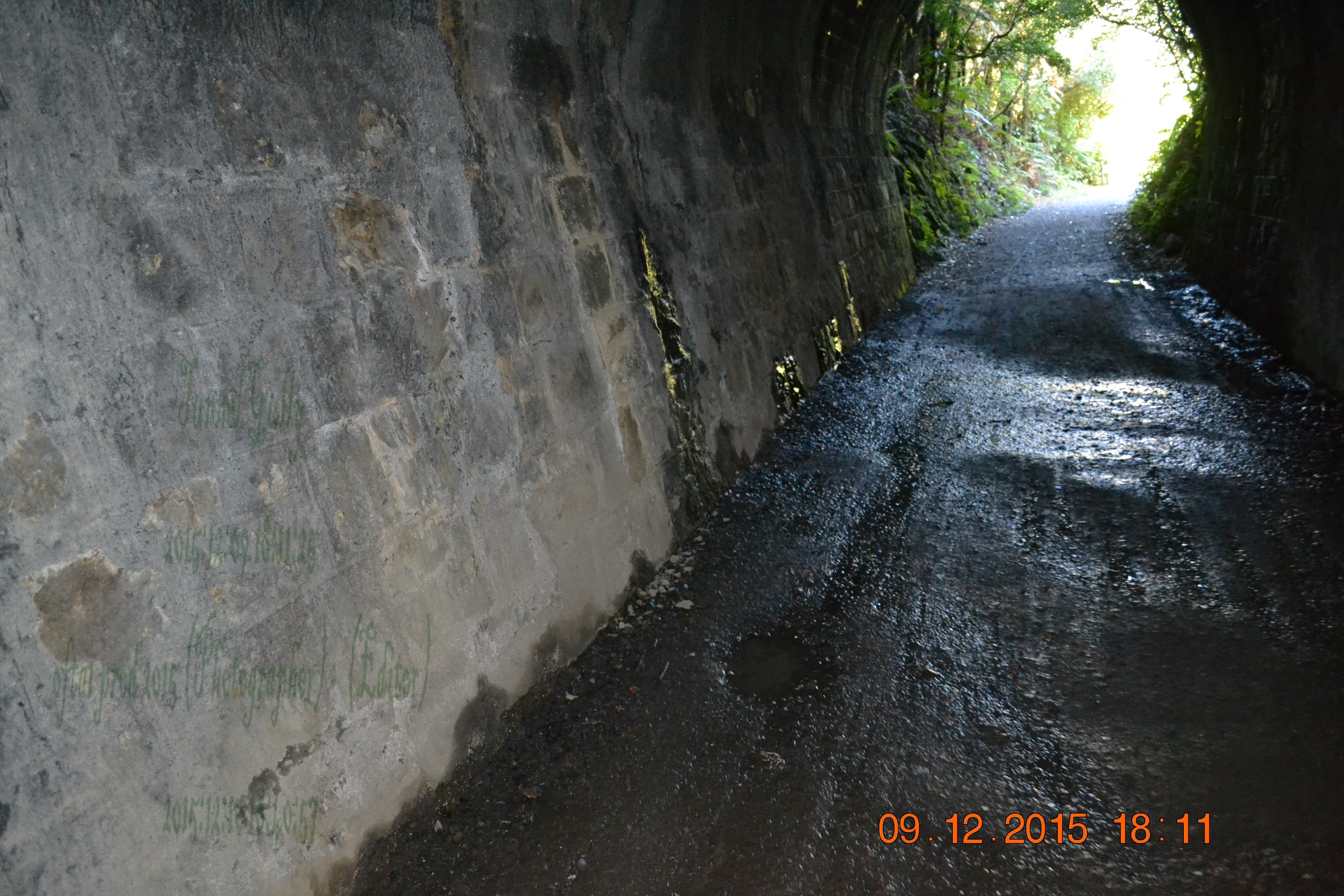 tunnelgully2015dec_154_wm.jpg