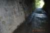 tunnelgully2015dec_154_wm_small.jpg