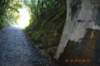 tunnelgully2015dec_156_wm_small.jpg