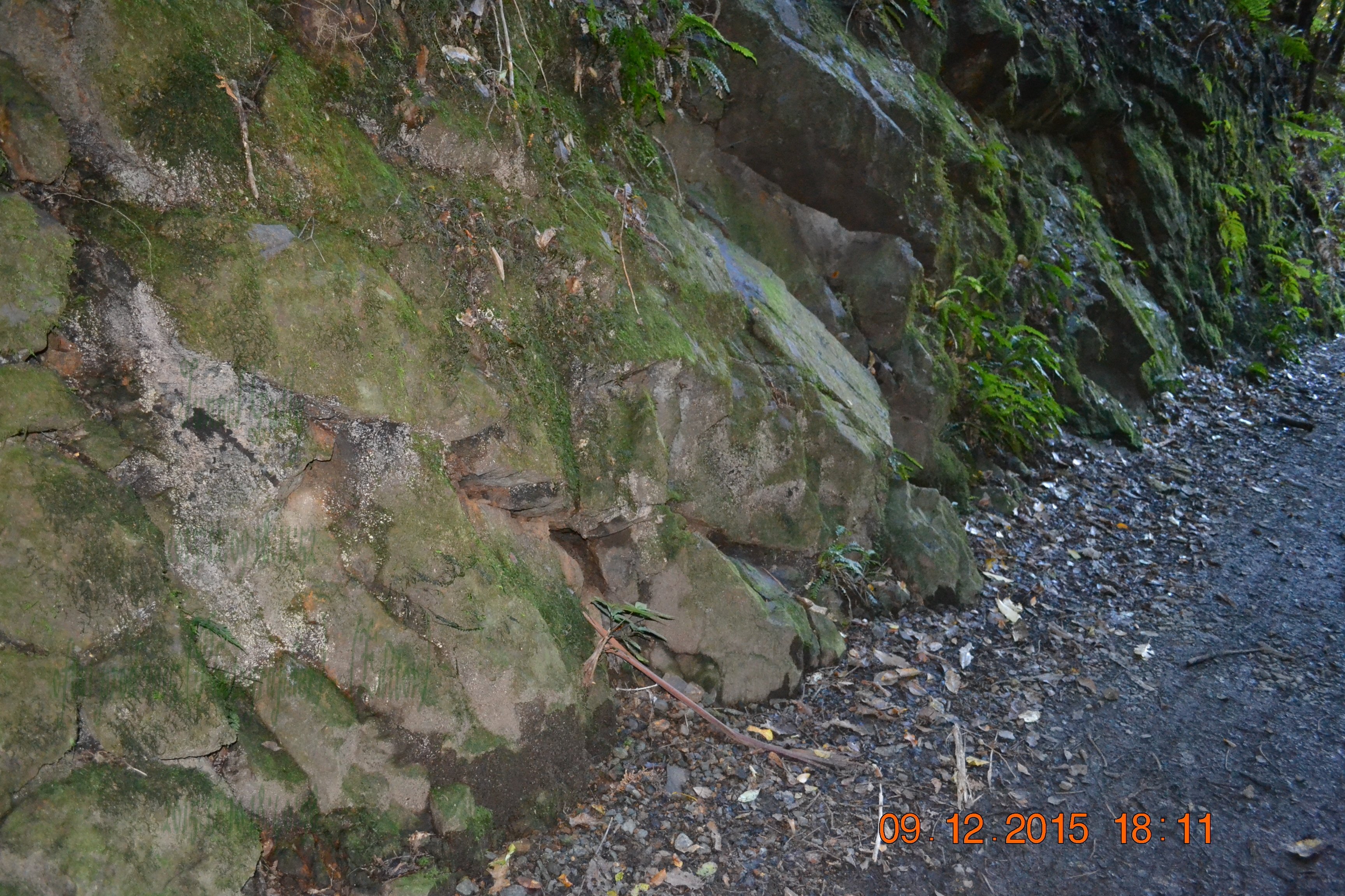 tunnelgully2015dec_157_wm.jpg