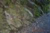tunnelgully2015dec_157_wm_small.jpg