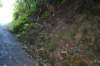 tunnelgully2015dec_158_wm_small.jpg
