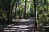 tunnelgully2015dec_15_wm_small.jpg