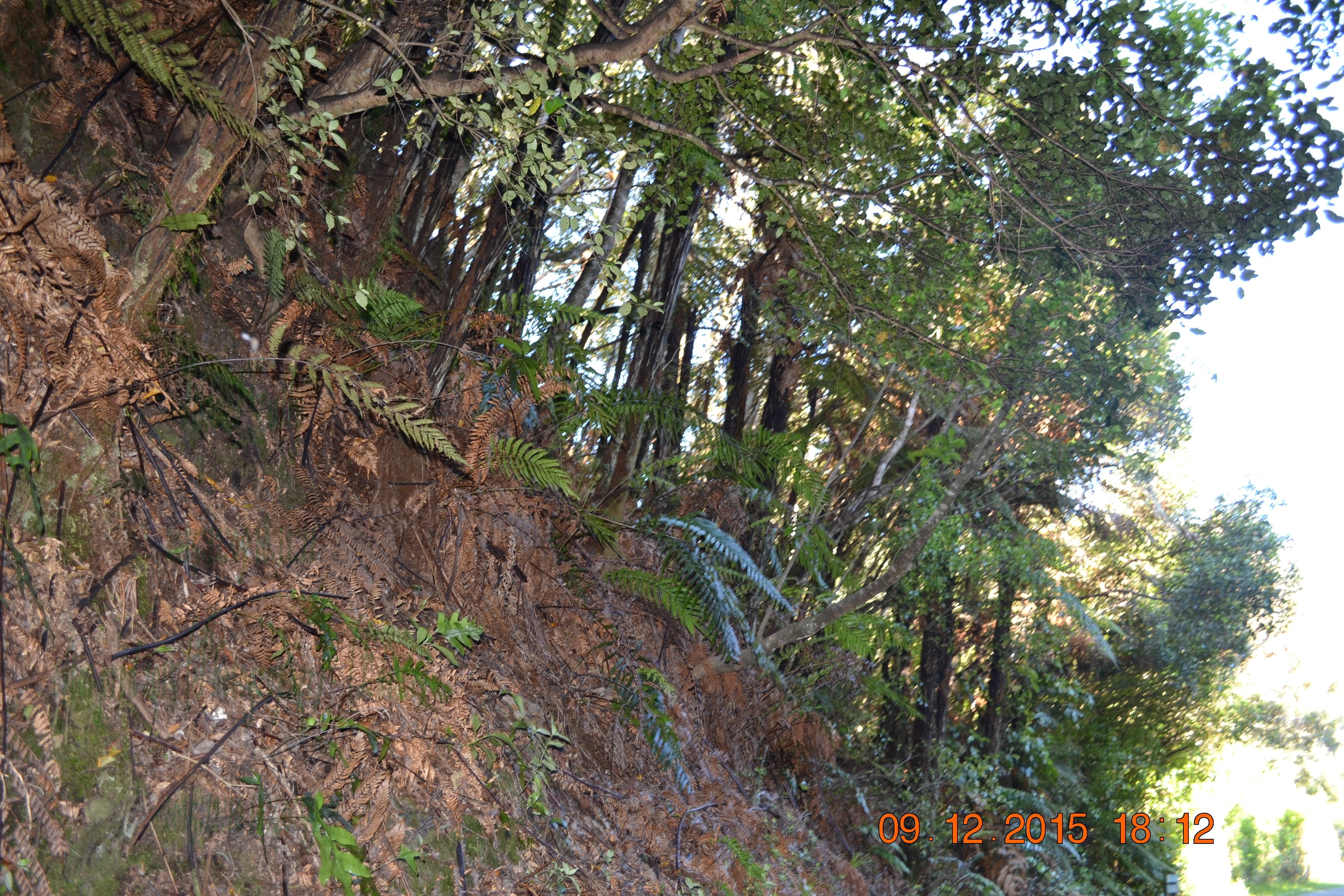 tunnelgully2015dec_161_wm.jpg