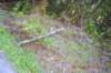 tunnelgully2015dec_163_wm_small.jpg
