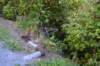 tunnelgully2015dec_164_wm_small.jpg